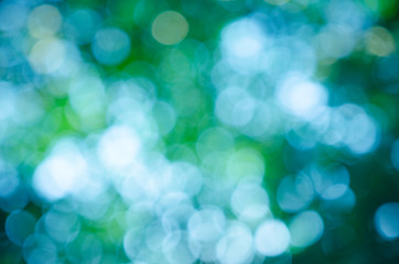 Obraz premium natural background of out of focus forest or bokeh