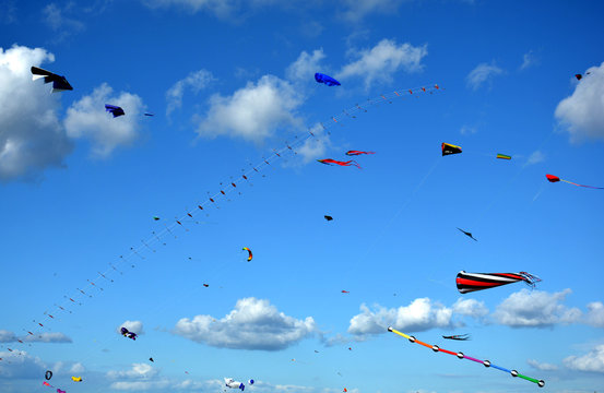 Drachenfest