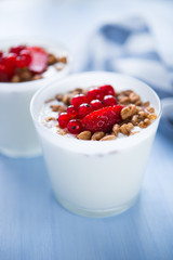 Yogurt with cereals and berries (healthy breakfast)