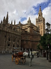 Naklejka na ściany i meble Kutsche wartet vor Kathedrale Santa Maria in Sevilla