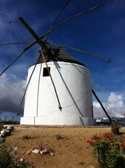 Windmühle mit Blumenbeet