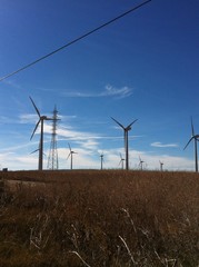 Windpark in der Abendsonne