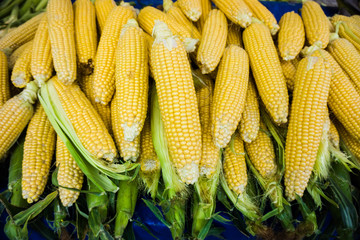 market stall with corncobs.  Fresh sweet corn