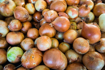 Fresh onion. Ripe onions as background.