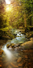 Panoramic image of the forest brook in the mountains