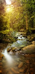 Foto op Plexiglas Panoramic image of the forest brook in the mountains © aboutfoto