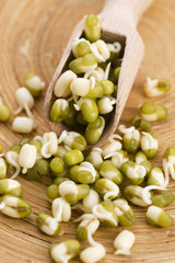 Sprouted mung beans