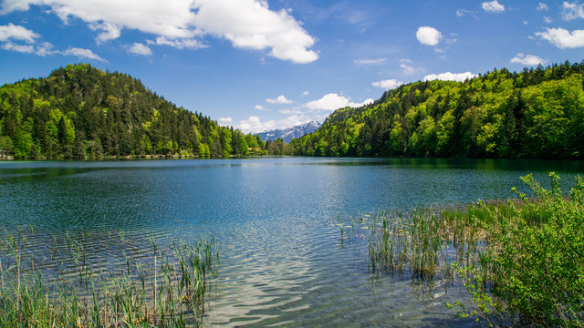 Der Alatsee bei F&uuml;ssen im Allg&auml;u