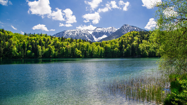 Der Alatsee bei F&uuml;ssen im Allg&auml;u