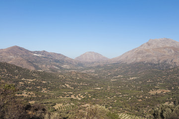 Fototapeta na wymiar Landscape, Mountain and Olive Groves in south Crete
