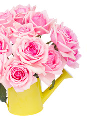 bunch  of fresh pink roses