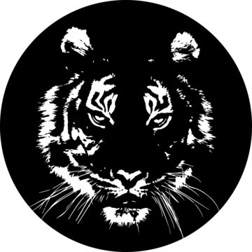 Tigerkopf