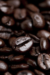 コーヒー豆　イタリアンロースト