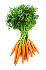 Bunch of fresh carrots with green tops. Isolated on a white.