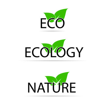 eco sign with green leaf vector illustration