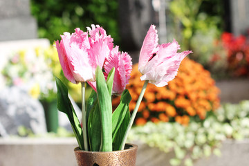 Blumen am Friedhof