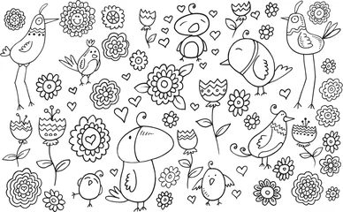 Fototapete Flower Bird Doodle Vector Illustration Set © Blue Foliage
