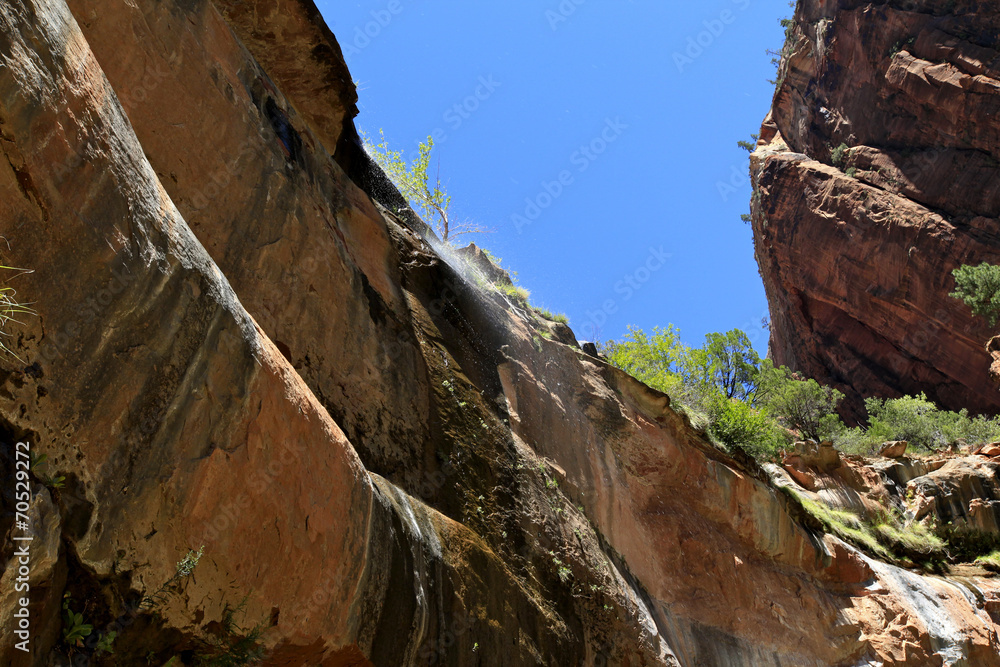 Canvas Prints Zion Waterfalls