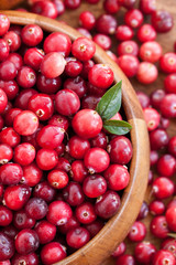 Fresh red cranberry