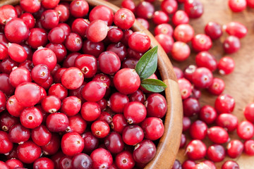 Fresh red cranberry