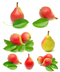 Collection of pears with leaves