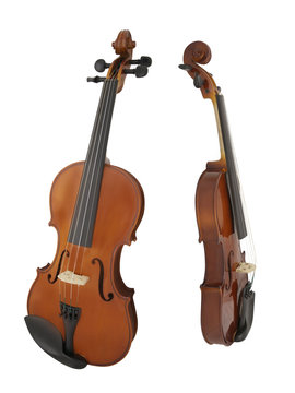 violin