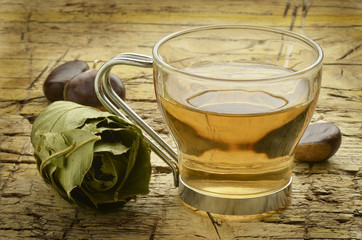 Castanea sativa Sweet chestnut Castagno tisana Herbal tea