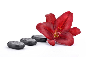 Fototapeta na wymiar Czerwona lilia z kamieniami do spa