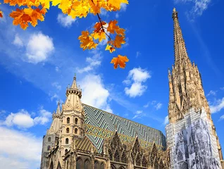 Foto op Plexiglas St. Stephan cathedral in Vienna © sborisov