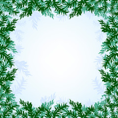 Christmas branches background
