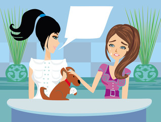 dog wearing a bandage