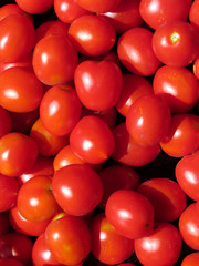 Tomatoes background