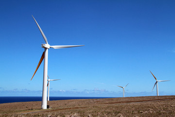 Wind Turbines