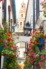 Fototapeta na wymiar Famos Street Flowers decorated, Cordoba, Spain, Mediterranean Eu