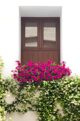 Fototapeta na wymiar Typical Window decorated Pink and White Flowers, Cordoba, Spain