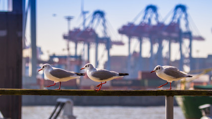 Hamburg, Germany