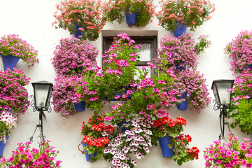Typical Window decorated Pink and Red Flowers,  Spain, Mediterra