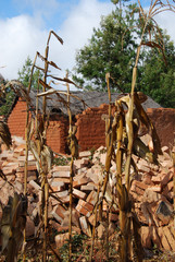 Houses and homes in the Village of Pomerini in Tanzania-Africa