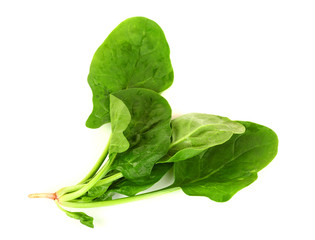 Fresh spinach