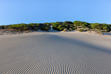 geometric patterns in sand at  beach