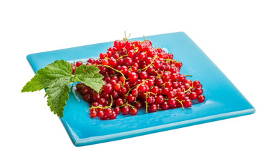 Red currant