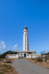 Fototapeta na wymiar Beach at Lighthouse at Cape Trafalgar