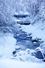 Schnee 15