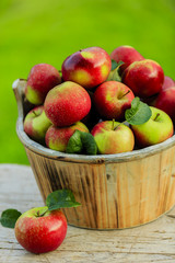 Apples - fresh picked apples in wooden basket