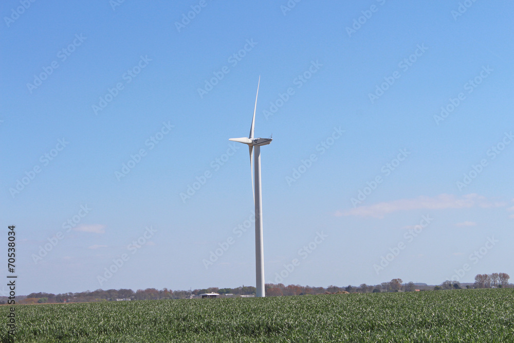 1000_F_70538034_lDWOXlVV1MSIReH1w2sbdTxmQMBjzZya.jpg