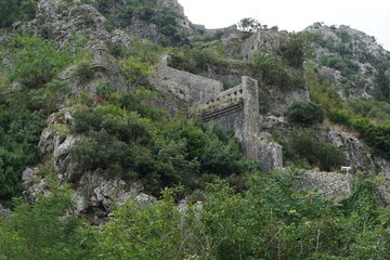 kotor