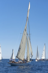 Naklejka na ściany i meble Ancient sailing boat during a regatta at the Panerai Classic Yac