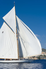 Fototapeta premium Ancient sailing boat during a regatta at the Panerai Classic Yac
