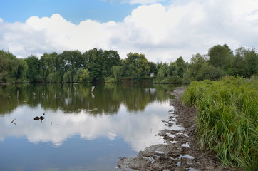 Lake in the village