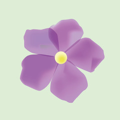 Vector drawing of purple flower isolated